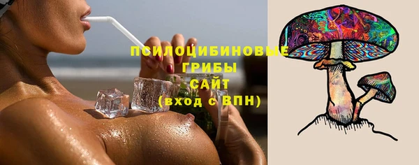 трава Карпинск