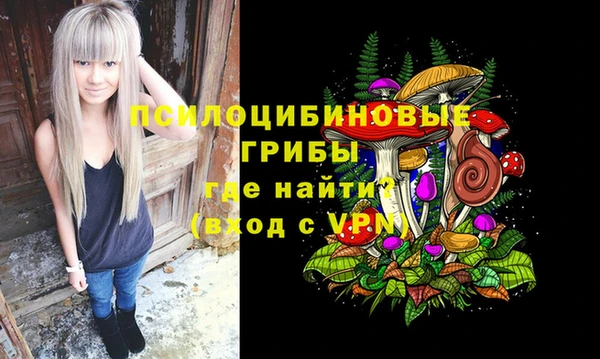 круглые Карталы