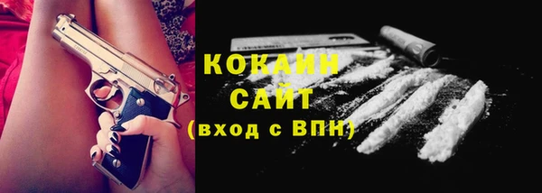трава Карпинск