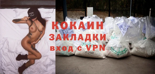 трава Карпинск