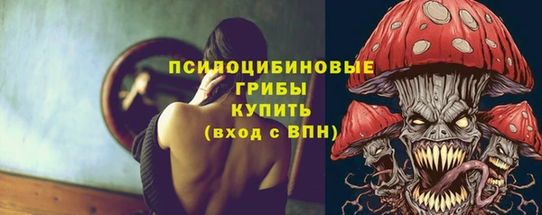 трава Карпинск