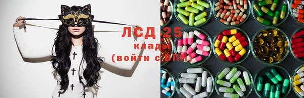 трава Карпинск