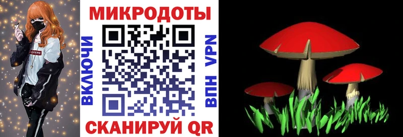 Галлюциногенные грибы мухоморы Купить где Качканар
